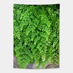 Green Maidenhair Fern For Gardeners Nature Lovers Tapestry