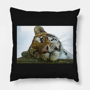 Tiger Portrait Pillow