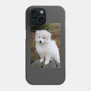 Cute samoyed dog puppy in the forest Phone Case