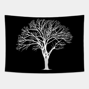 White Leafless Oak for dark background Tapestry