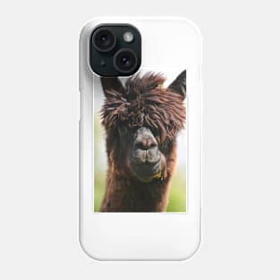 Alpaca Phone Case