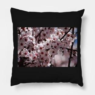 Japanese Cherry Tree (#4) Pillow