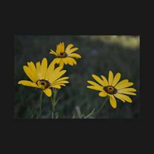 Yellow flowers T-Shirt