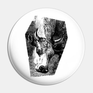 Cow Portrait Black and White Illustration Pin