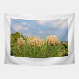 Pampas Grass Tapestry
