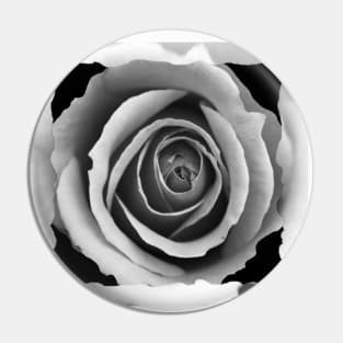 White Rose Box Pin