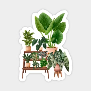 House Plants Magnet