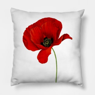 Coquelicot Poppy Pillow