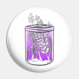 White and purple succulent Pin