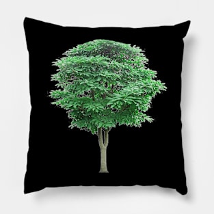 Green leafed tree, Tree Lindens Pillow