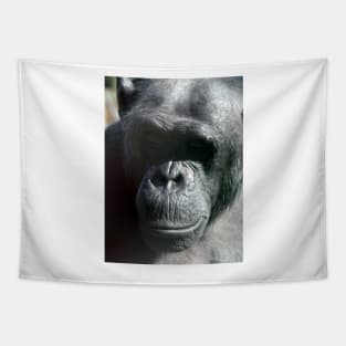 Chimpanzee Tapestry