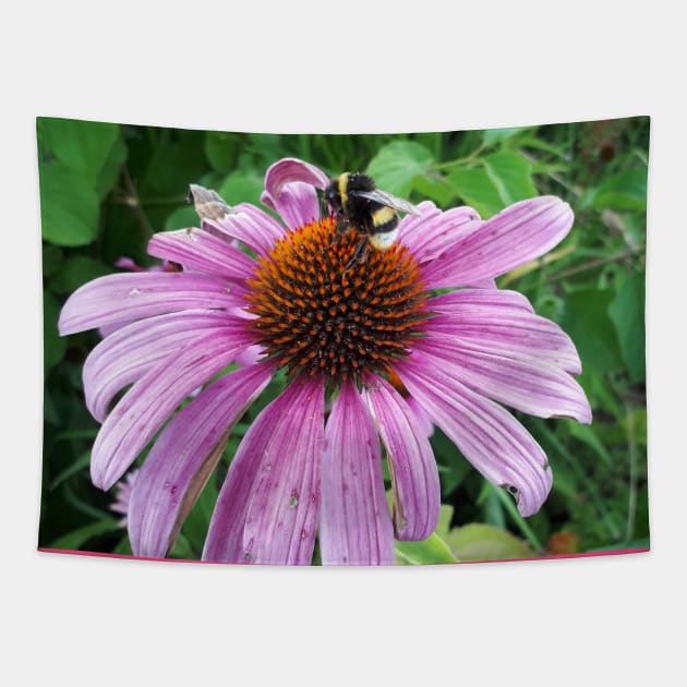 Bumblebee on Eastern Purple Coneflower Tapestry by Christine aka stine1