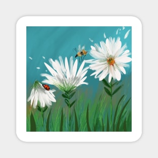 Daisies in Bloom Magnet