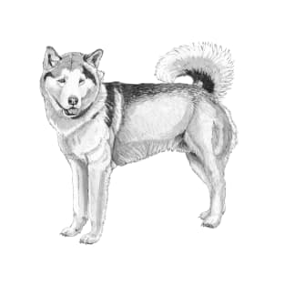 Alaskan malamute T-Shirt