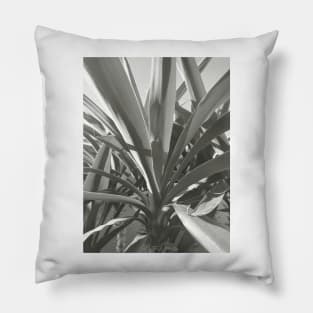 Yucca plant close up, black and white nature photography Pillow