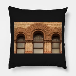 Windows Of Toronto's Old City Hall - 3 © Pillow