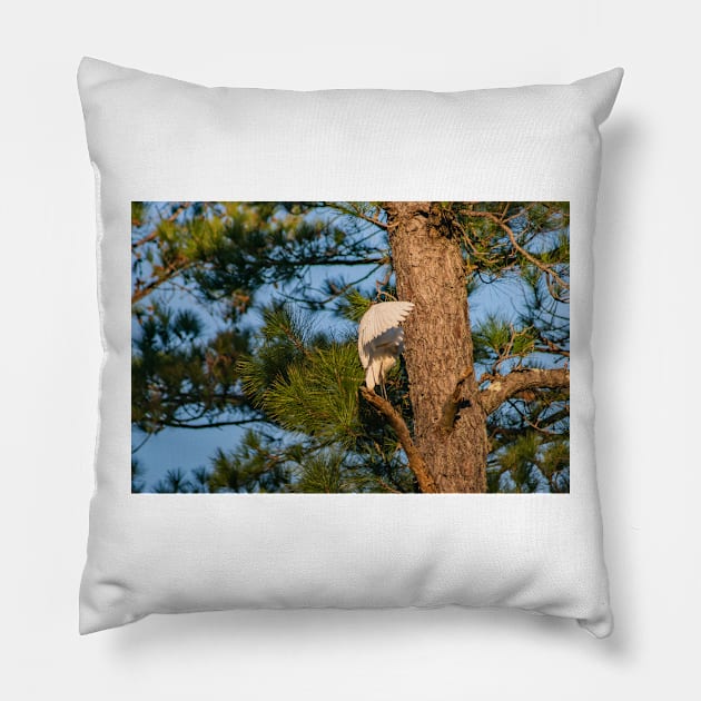 Egret Pillow by KensLensDesigns