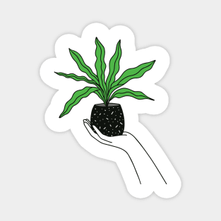 Hand Holding Houseplant Magnet