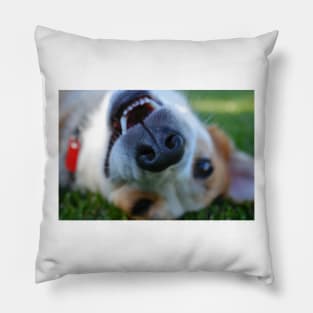 All Play on Labor Day Pillow