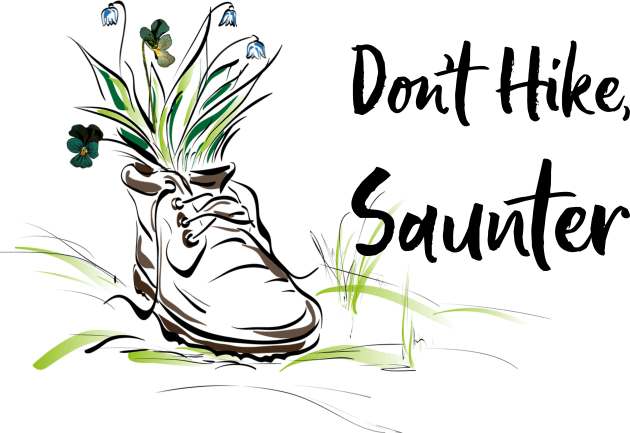 Don't Hike Saunter Kids T-Shirt by numpdog