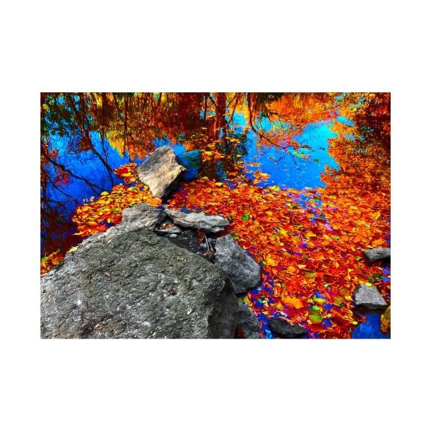 Brilliant fall foliage reflecting on calm water by Zen Goat 