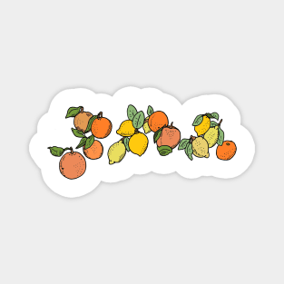 Oranges and lemons Magnet