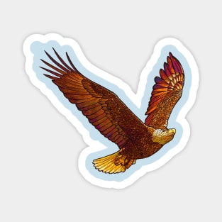 The American Eagle Magnet