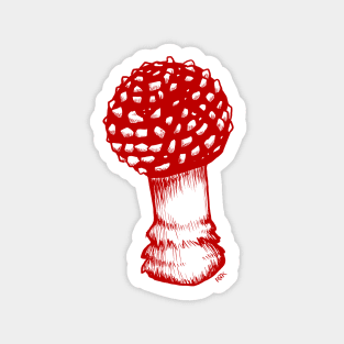 Amanita Muscaria in Red Magnet