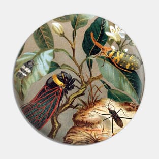 Flowers and insects. Passion flower. Cicada and other flying bugs Pin