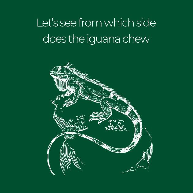 Iguana Size Chart