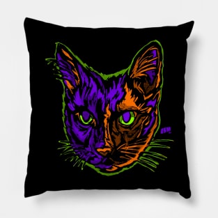 Scratch Cat Pillow