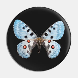 Special Blue Butterfly Pin