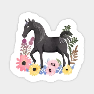 Black horse in watercolor Magnet