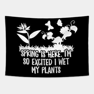 Spring is here. I wet my plants Tapestry