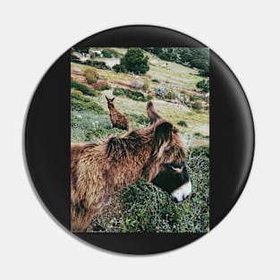 Wild Donkeys Duo Pin