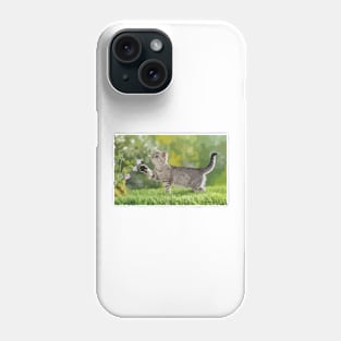 American Shorthair Cat Digital Painting Phone Case