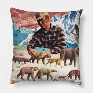 Evolution Pillow