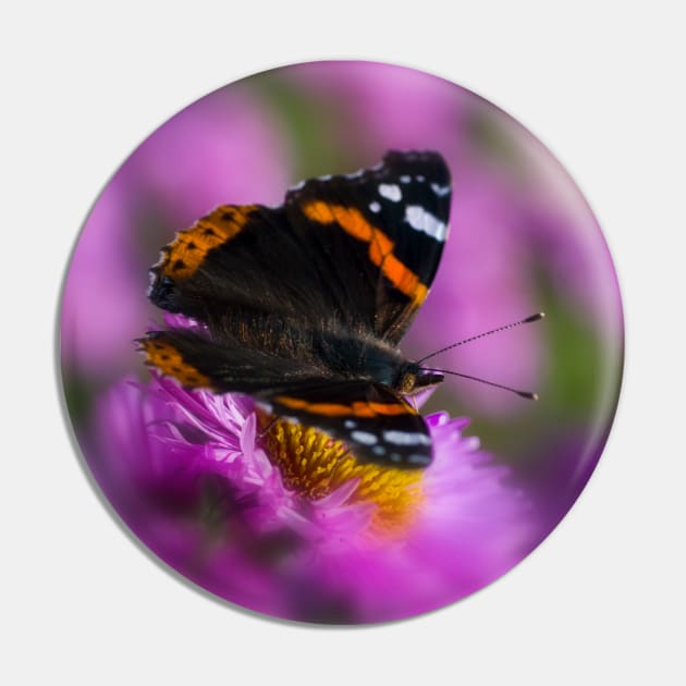 Red Admiral Butterfly on a pink flower Pin by JeanKellyPhoto