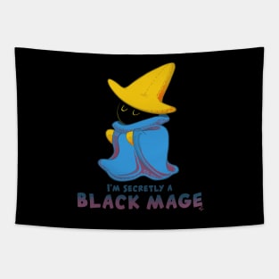 I'm Secretly A Black Mage! Tapestry