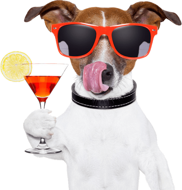 Doggy Cocktails! Kids T-Shirt by MysticTimeline