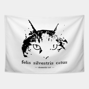 felis silvestris catus - domestic cat Tapestry