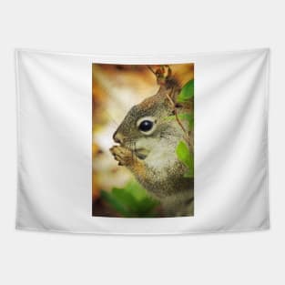 Grateful Squirrel Tapestry