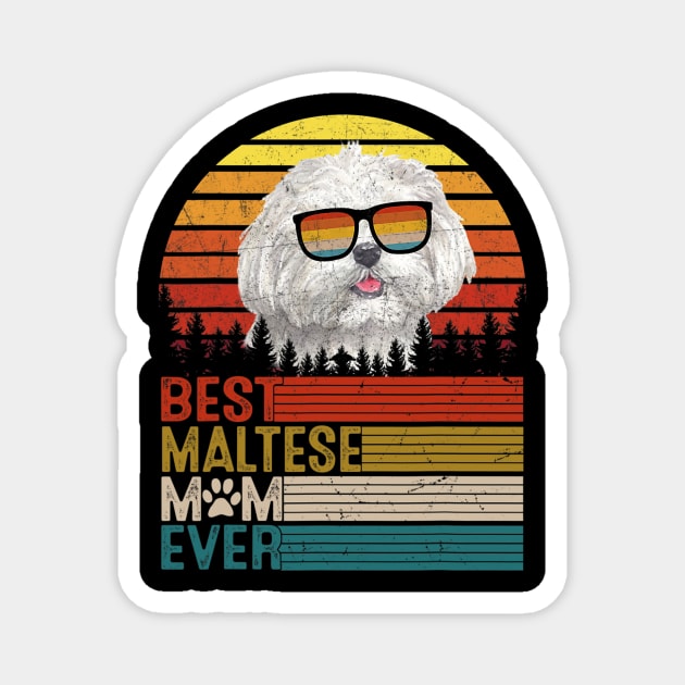 Vintage Best Maltese Mom Ever Magnet by IainDodes