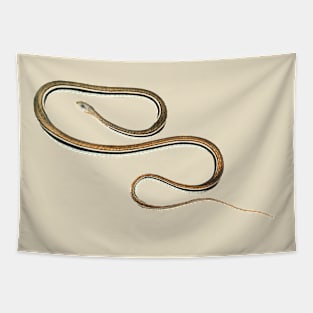 serpent,cobra,reptile,viper,venom,lizard,rattlesnake,king cobra Tapestry