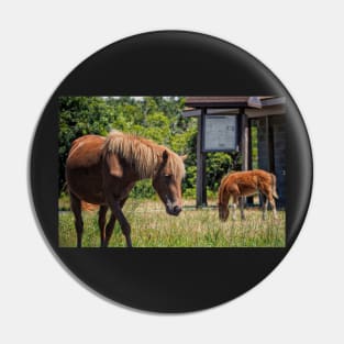 Assateague Pony Moonshadow with Foal Moonbeam Pin