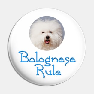 Bolognese Rule Pin