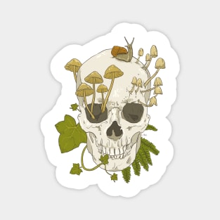 Growing Skull Magnet