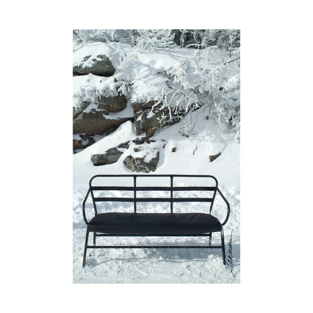 Snowbench by srwdesign