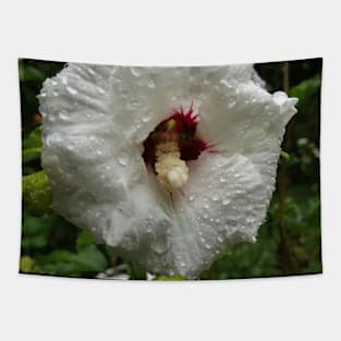 Rose of Sharon - Garden lover gift Tapestry