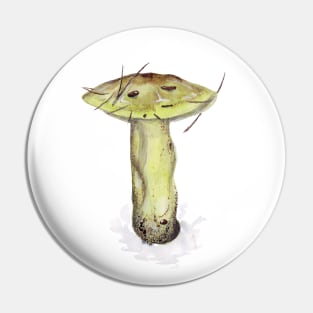 Tricholoma equestre Pin